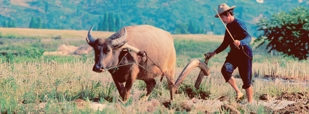 Burn the Plows (Throwback&nbsp;Thursday)