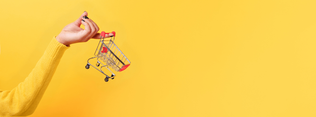 Shopping Cart Theory
